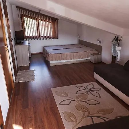 за гости диневи Kalofer